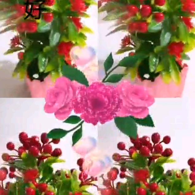 🌹随缘🍀🌌