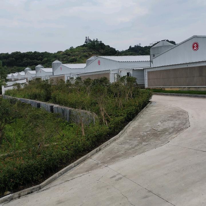 药王山九哥