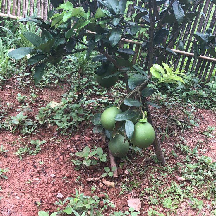 正在输入