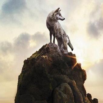 杯中倒满无情酒，心中再无意中人