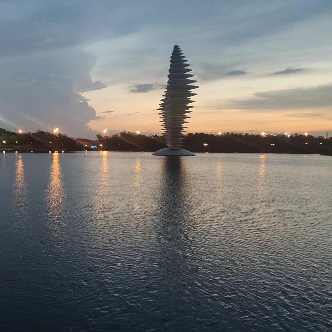 会飞的鱼