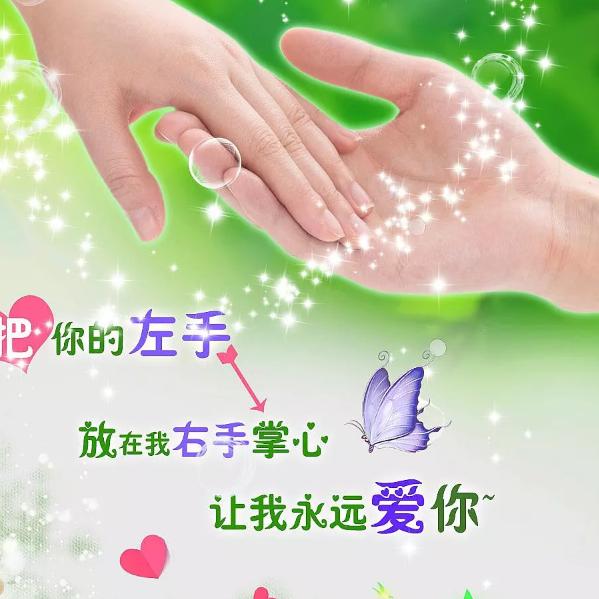 简单的爱