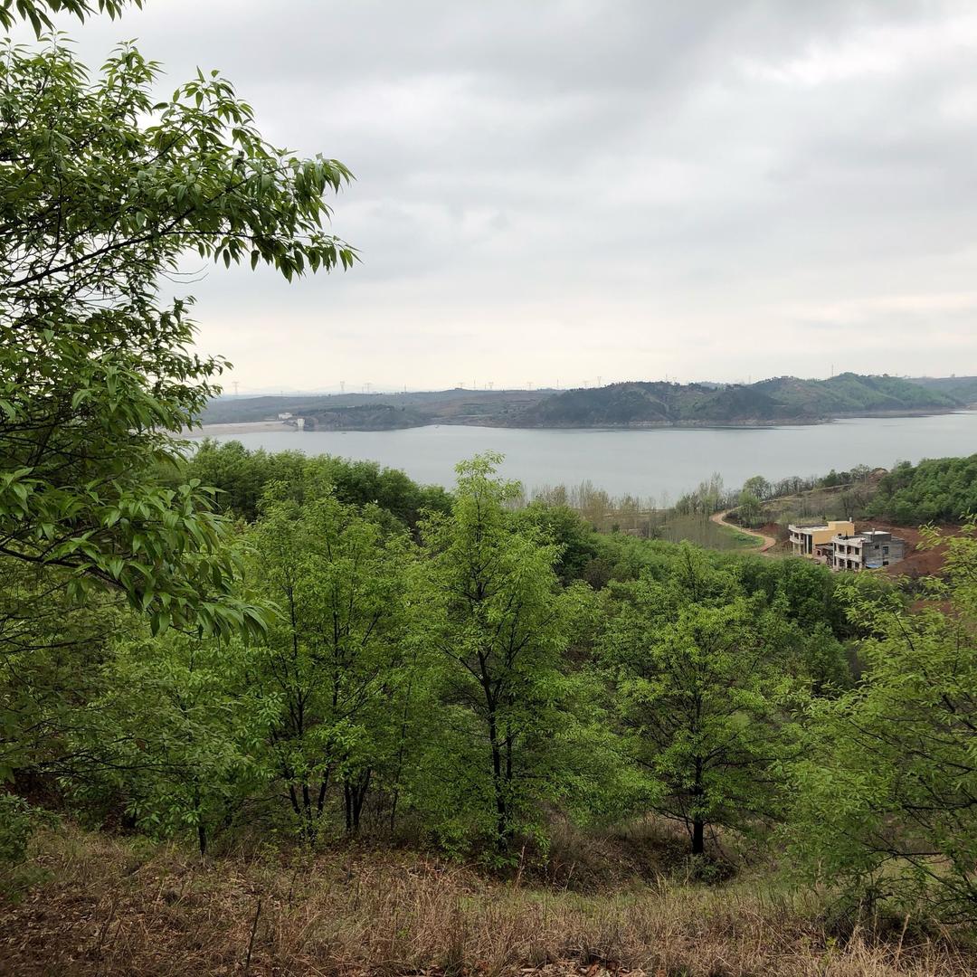 仝家岭村～宋晓银