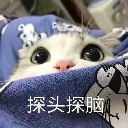 秘境岛-挚爱