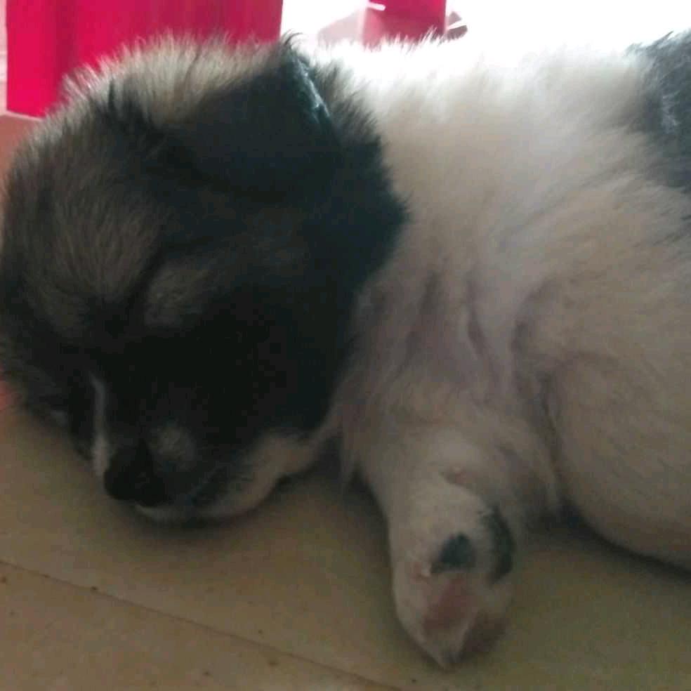 往事只能回味🙇🙇🙇