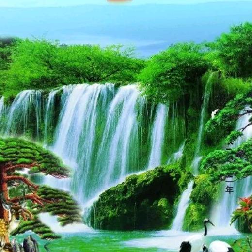 龙丰
