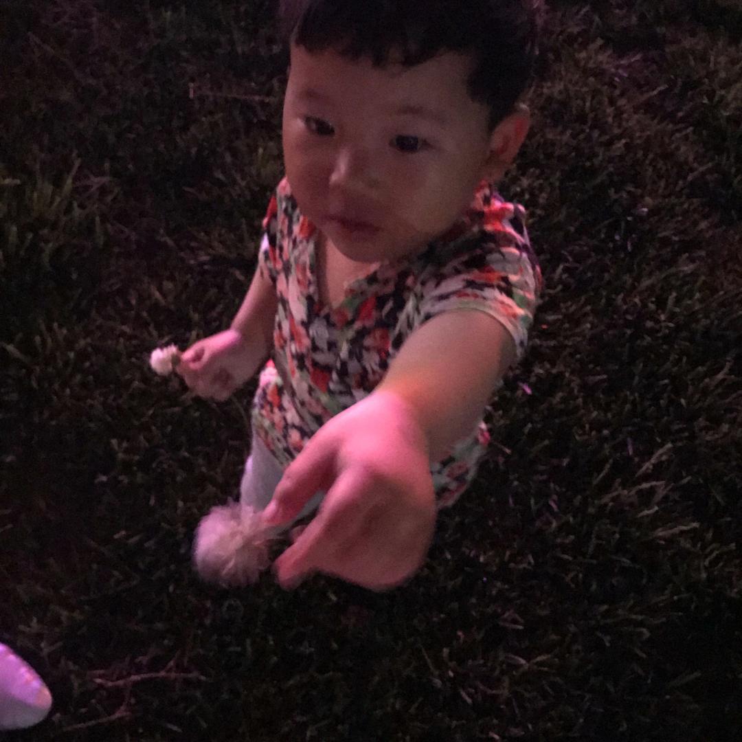 富豪幼儿园