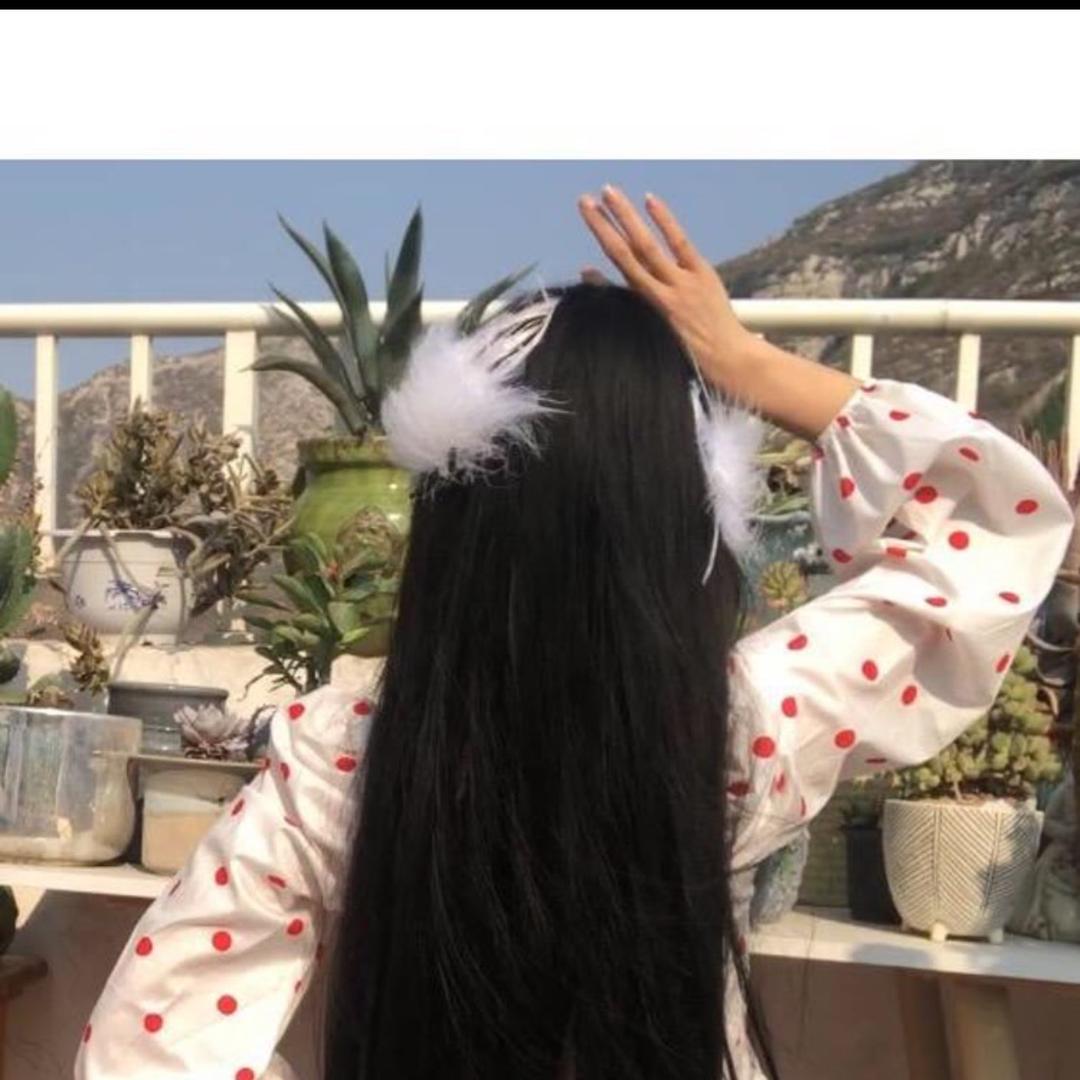飞豆豆