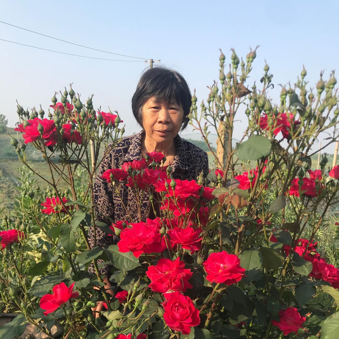 王奶奶