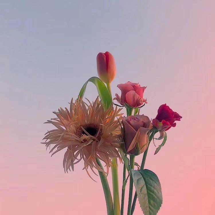 多幸运发型设计