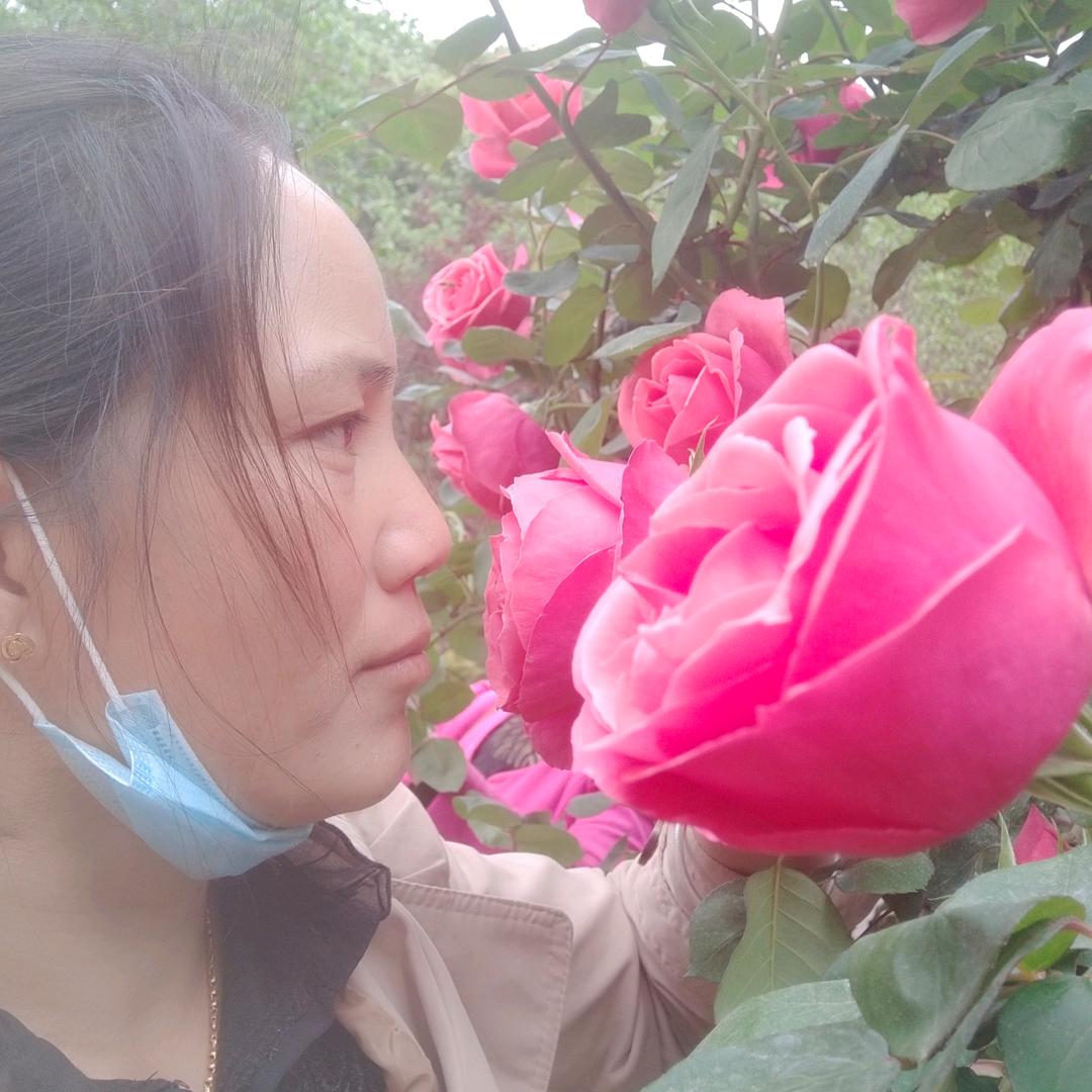 玉玉
