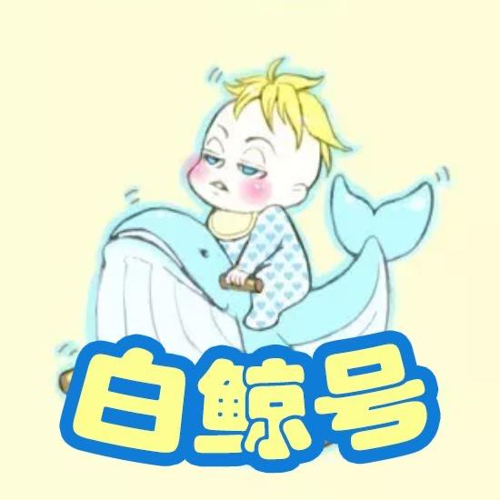 夜与白鲸