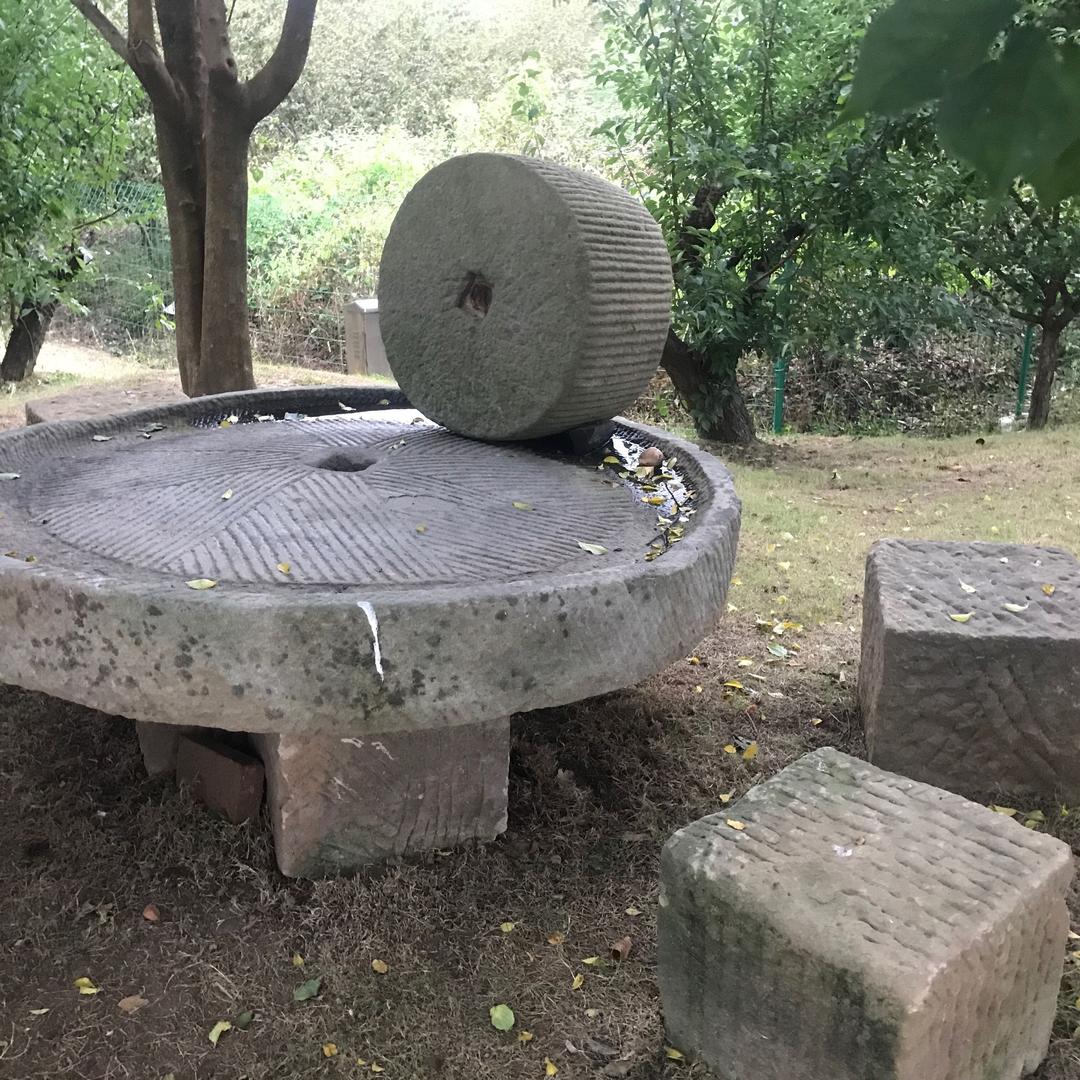 还有一个花甲年