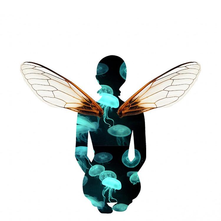 🐛夏の虫🐛
