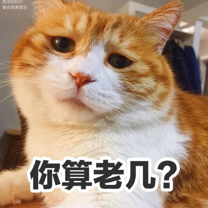 梦尝君