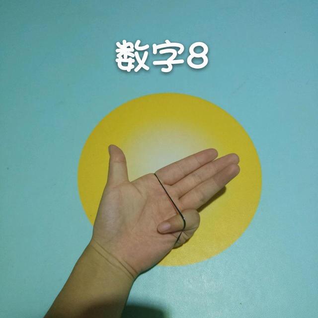 瓦片千层