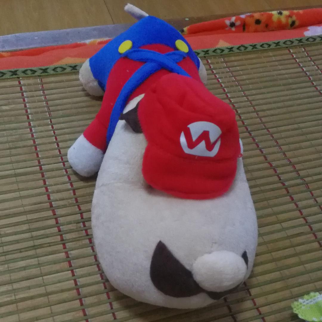 郝郝郝～