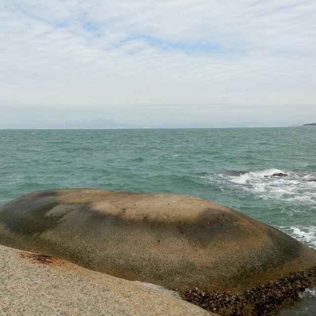 土的豆。。。。。。。。。