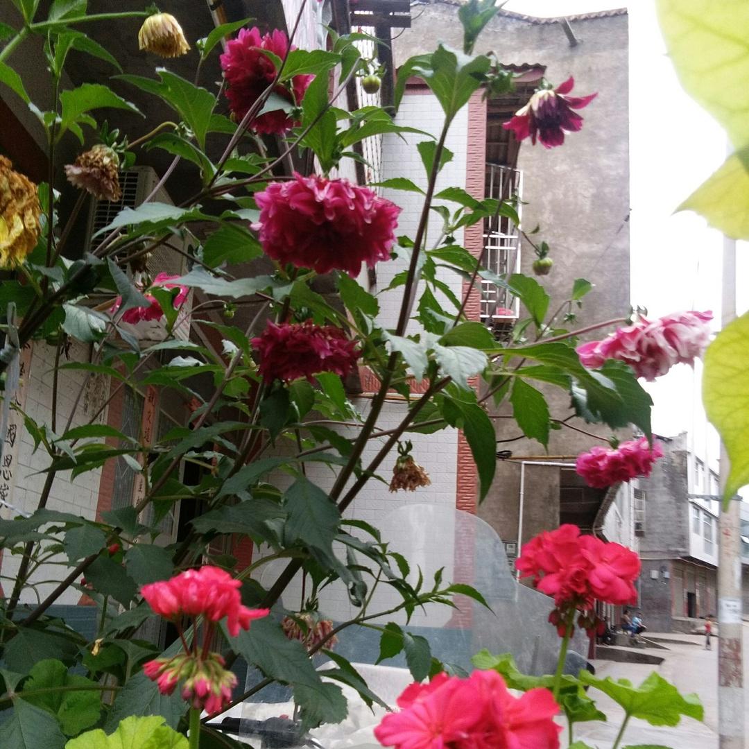 忘掉过去，从新开始