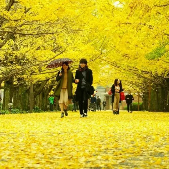 似水流年