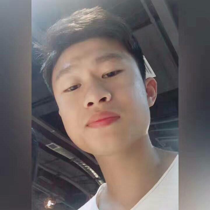 林林林十八