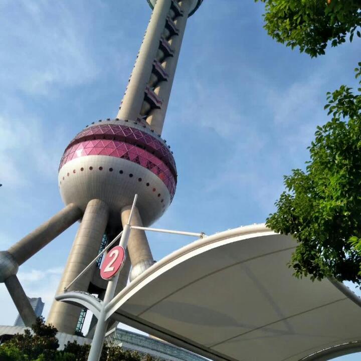 衤申精病