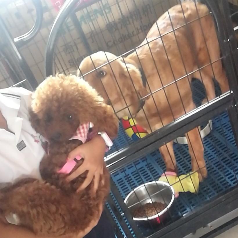 于红军欧派大家居图书馆东店