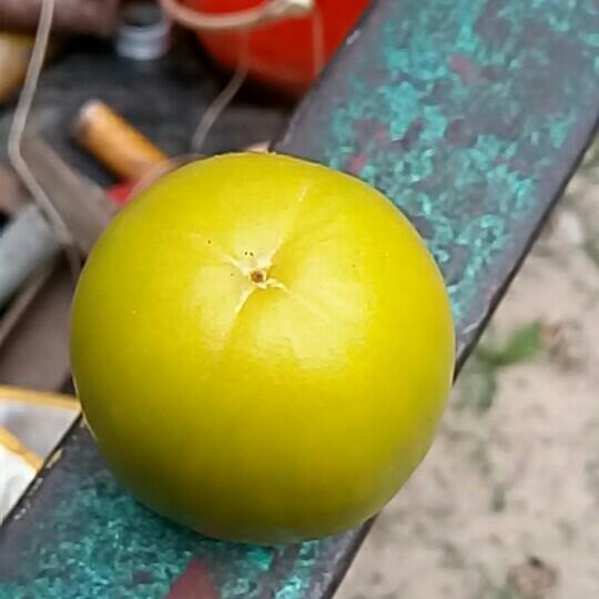 潇洒帅气的哥