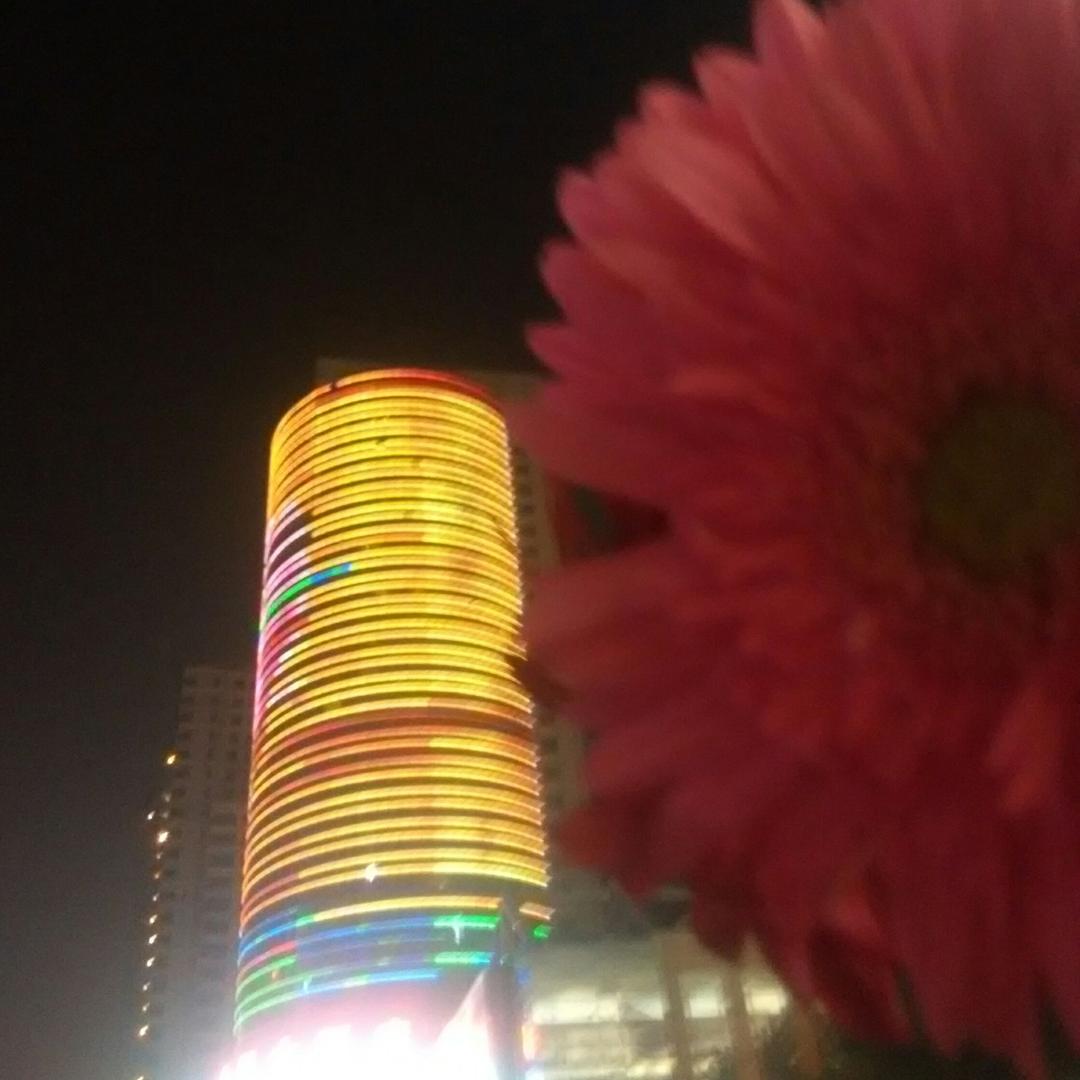 靠近我你温暖了么