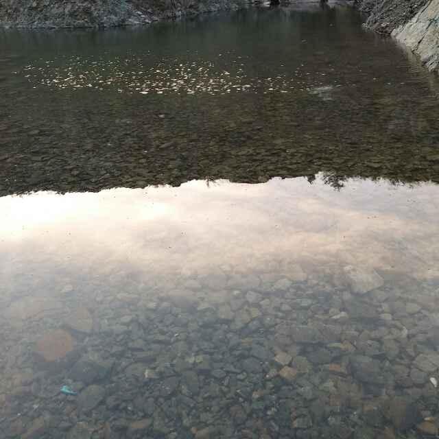 哥哥弟弟