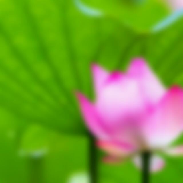 嘉欣｡◕‿◕｡