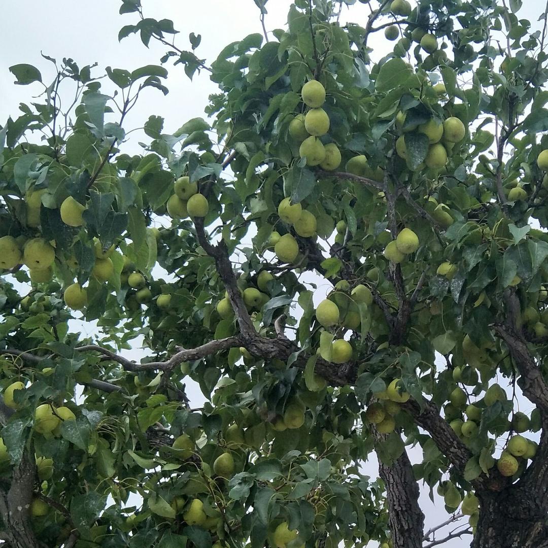 我从不认为我有多好呢