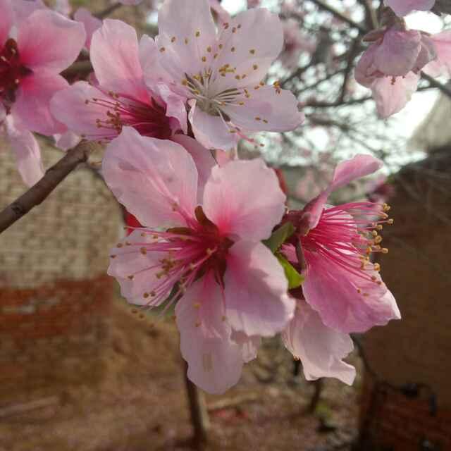 仕望集明达彩钢