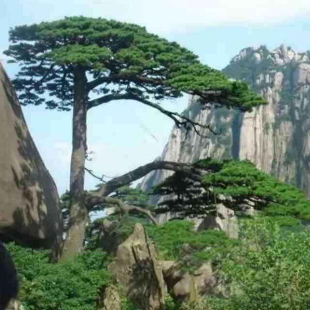 走在乡间的小路上