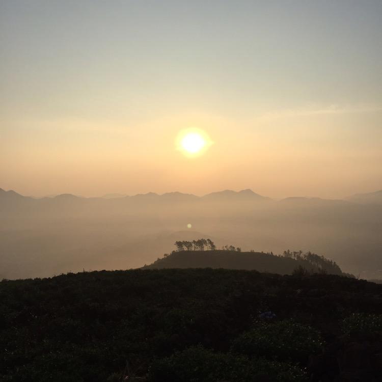 小林茶业