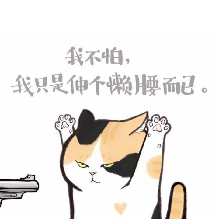 。m