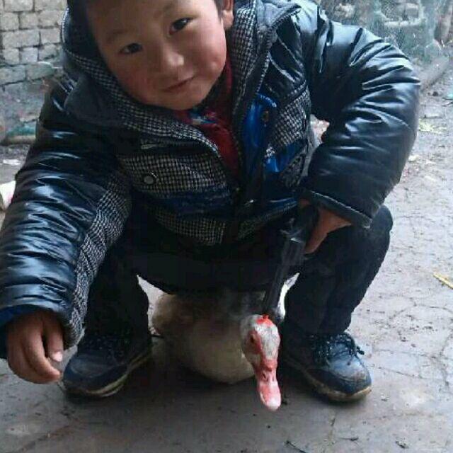 风吹草动\_