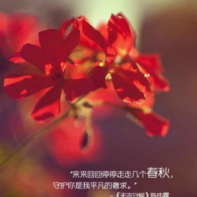 鍸 ♥ ♥ 蝶