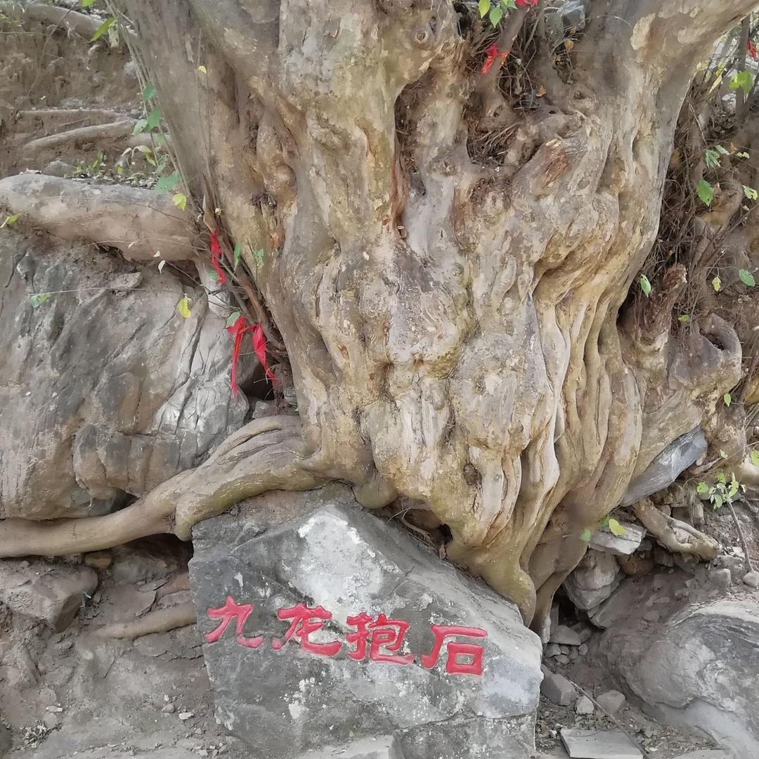 🌈🌈九龙抱石🇨🇳🙏