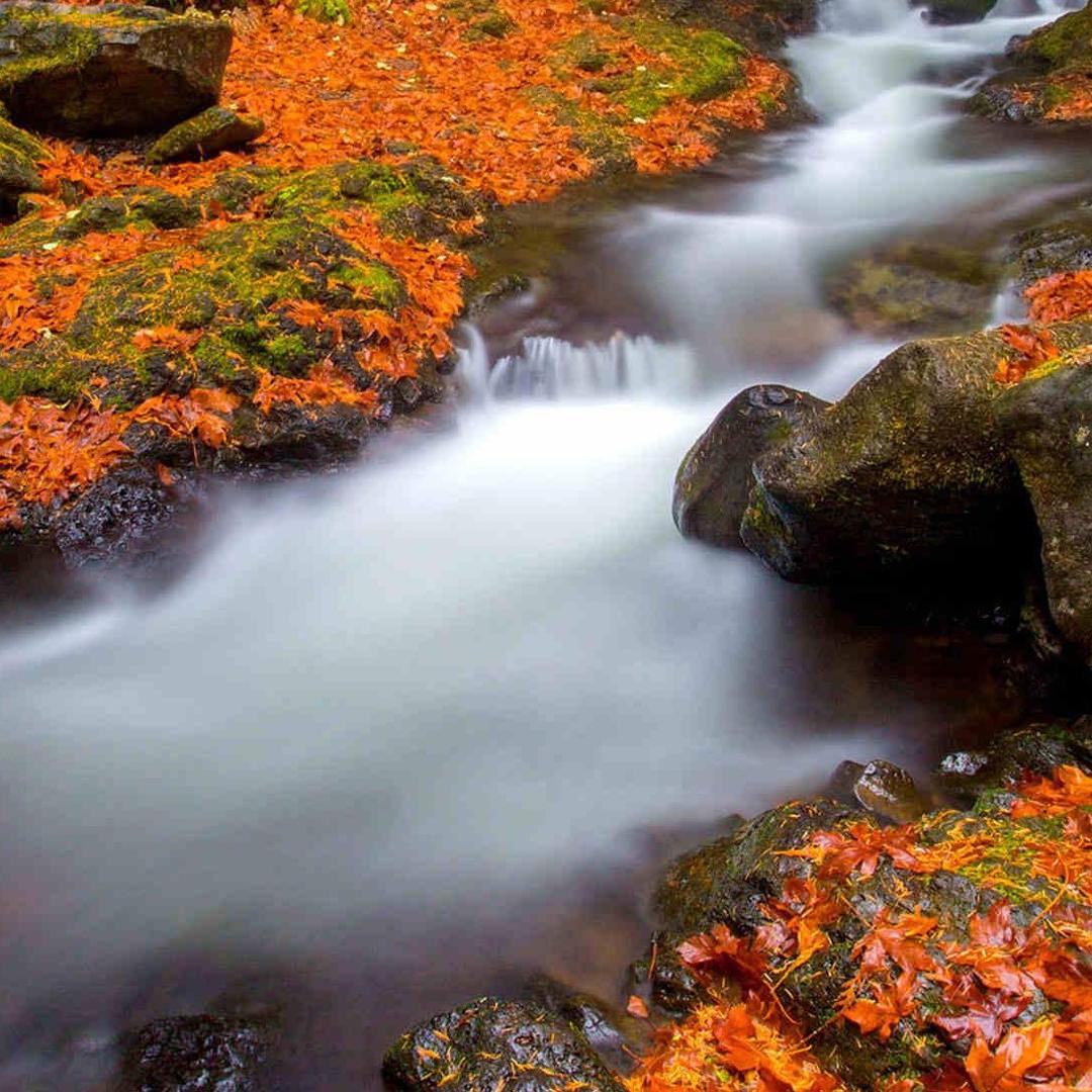 飞哥～～～传媒
