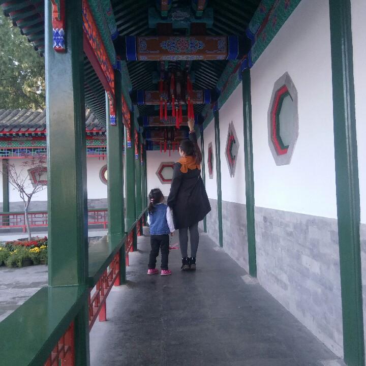 伍哥