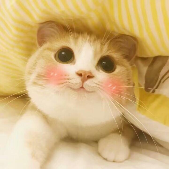 梅
