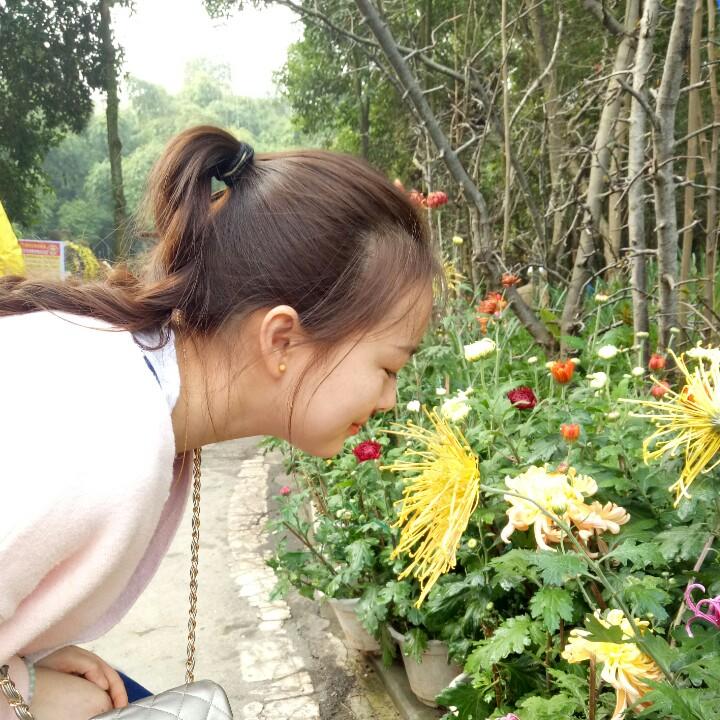 随心