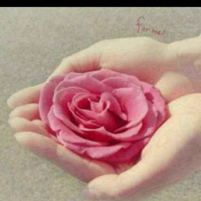 开心的一天🐍77/12🐍