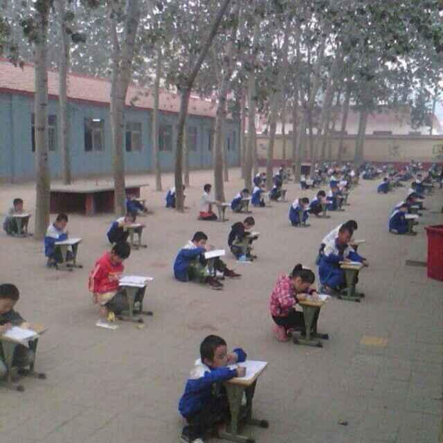 辰启兴渔具户外