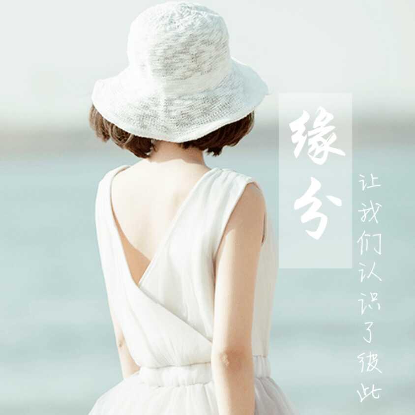 晚安_2478038
