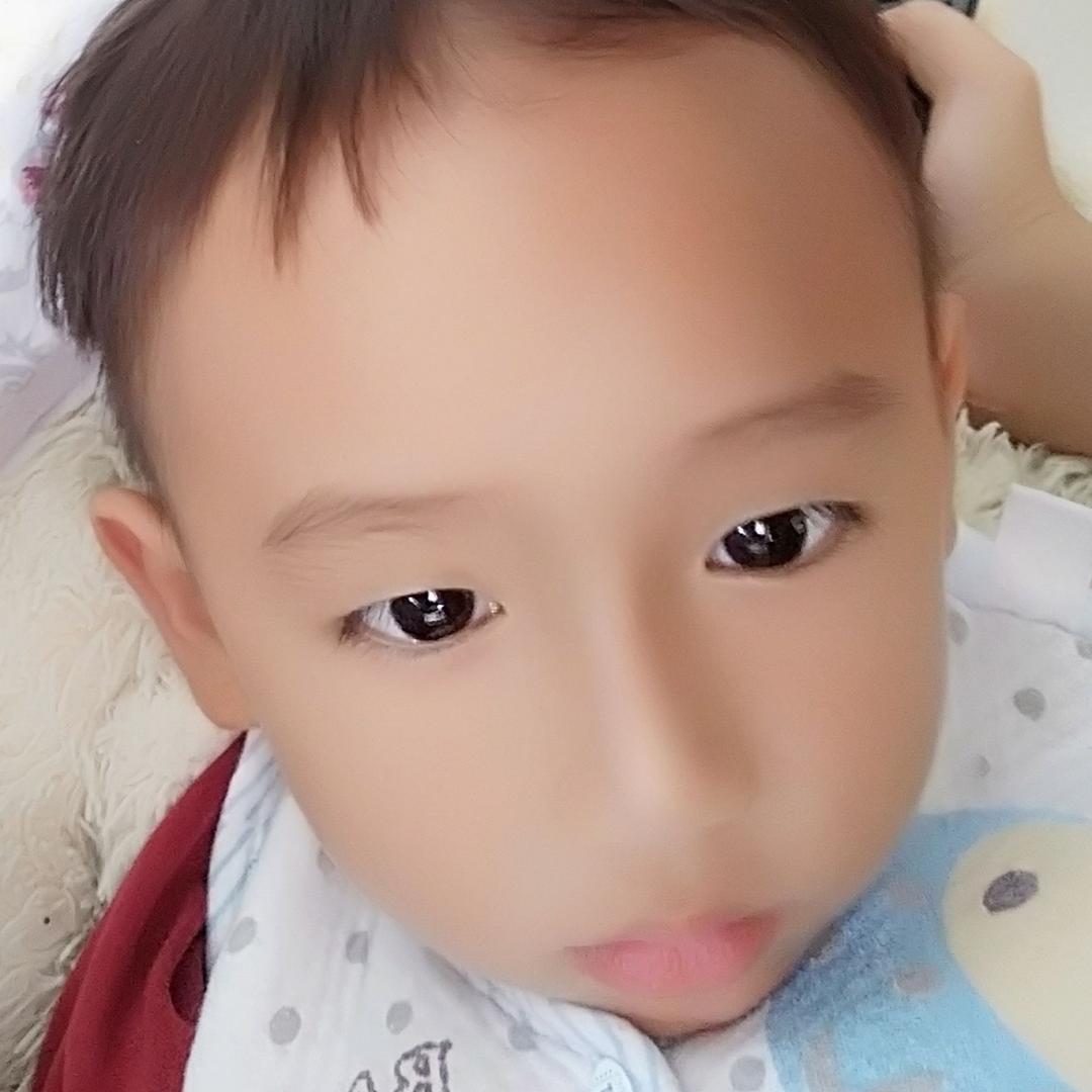 豪泉宝