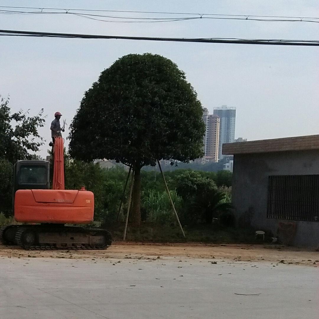 十十分想念
