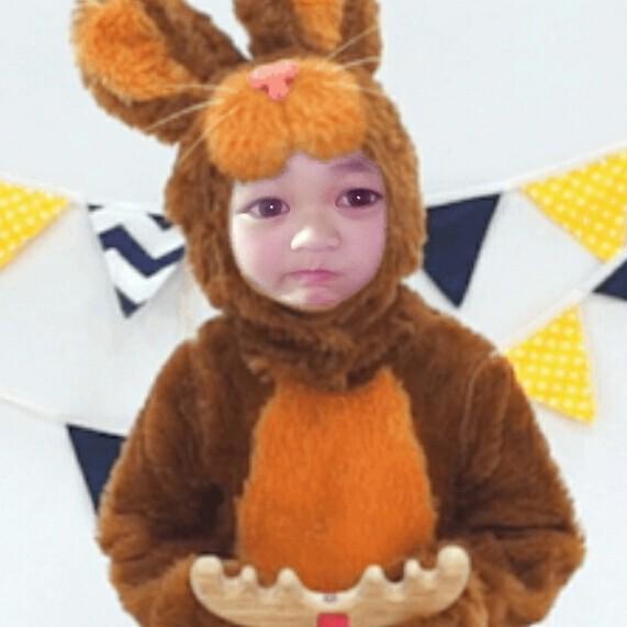 《:》燕子《:》