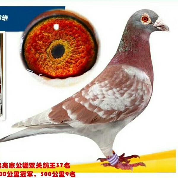 我的人生我做主